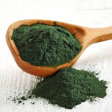 Spirulina Images