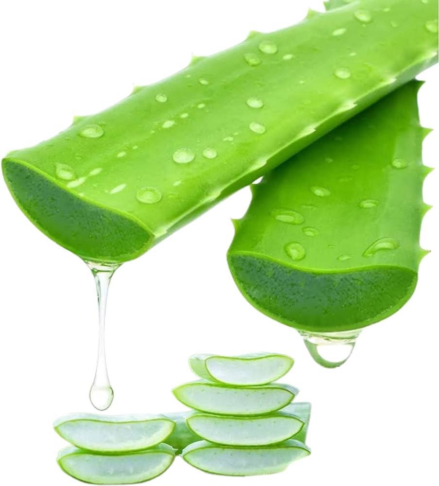 Aloe Vera Image