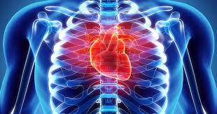 Cardiovascular Diseases