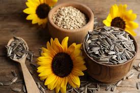 Sunflower seeds