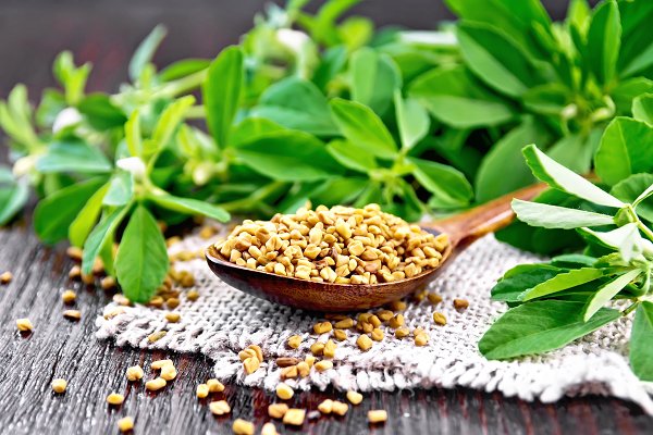 Fenugreek in your diet