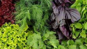 Leafy Vegetables