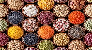 Legumes