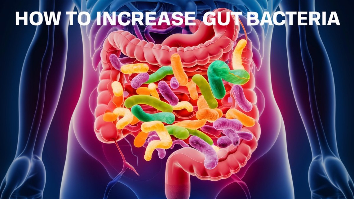 This is an image for topic How To Increase Gut Bacteria: Probiotics, Prebiotics, and Fermented Foods