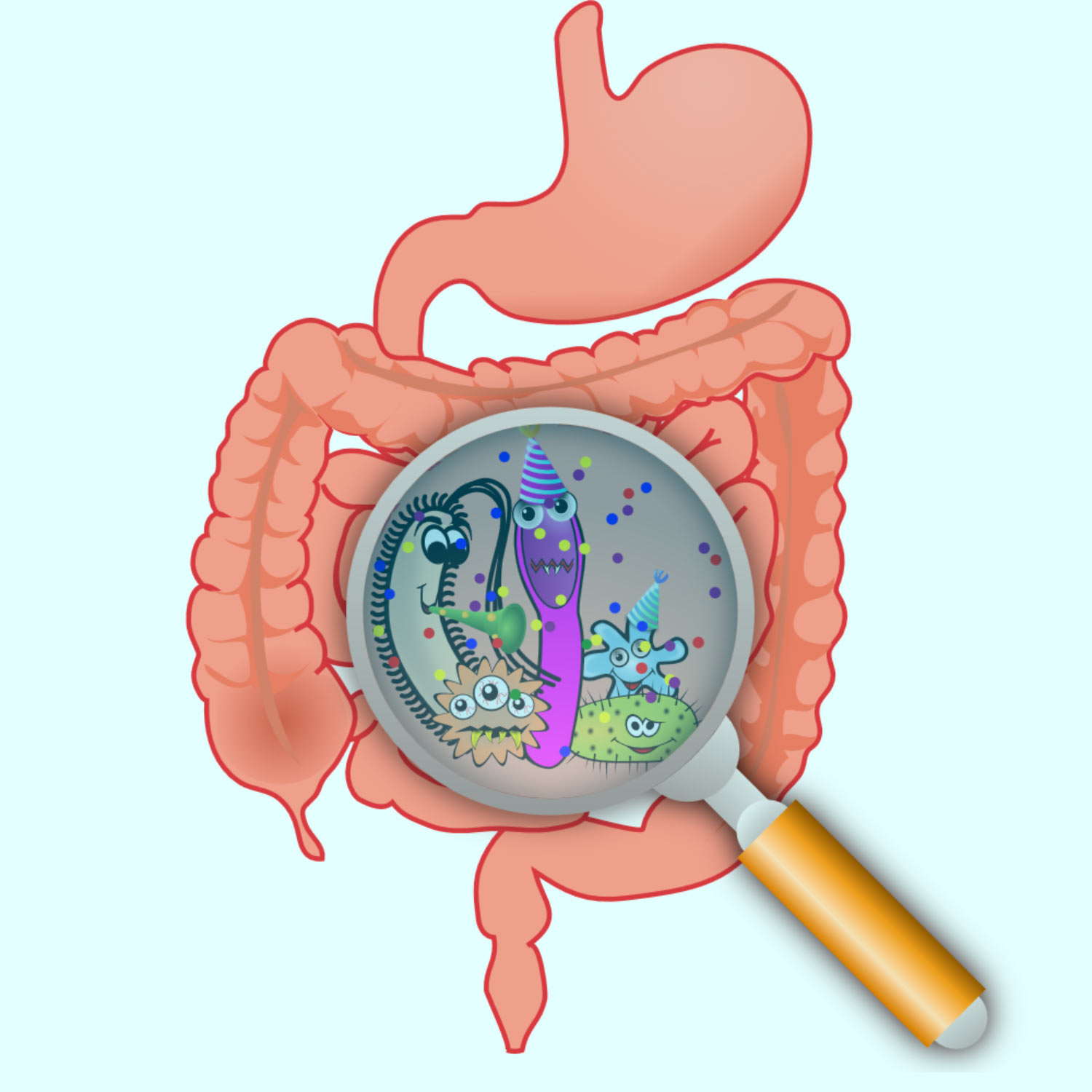 Gut Microflora