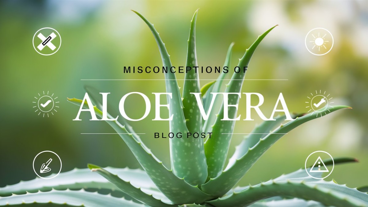 This is an image for topic Misconceptions about Aloe vera 