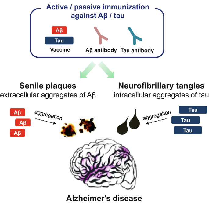 Amlyoid and Tau vaccine in treating Alzheimer’s disease 