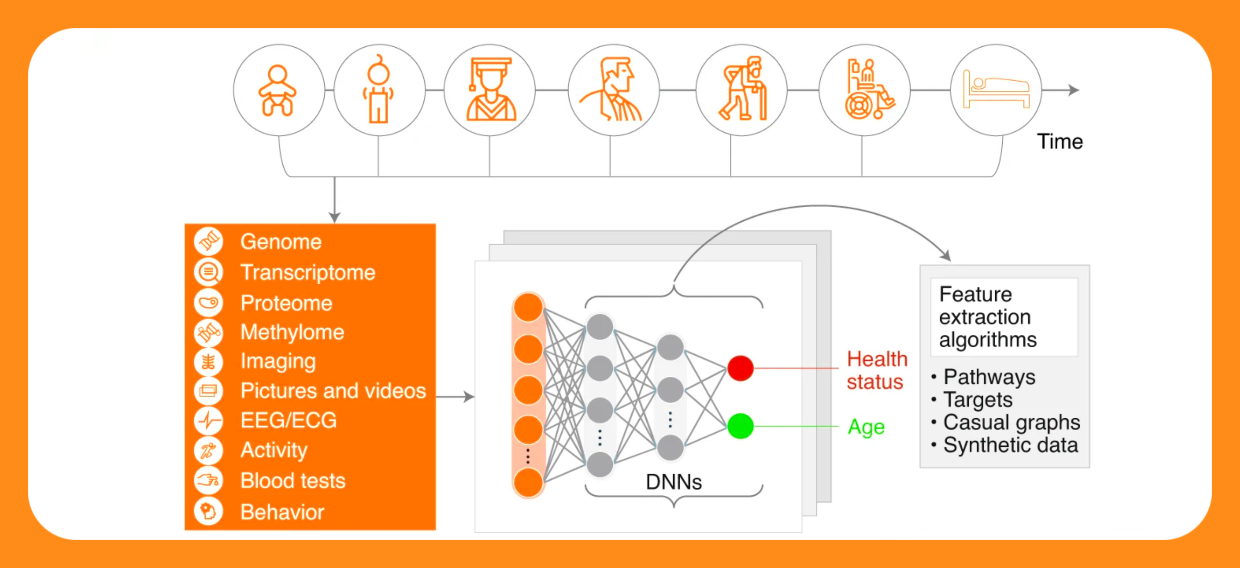 Role of Artificial Intelligence in Longevity Medicine 