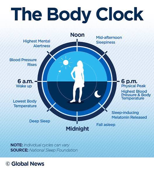 Importance of Body Clock in Sleep Cycle