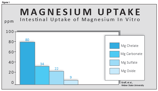 Absorption levels of different types of Magnesium 
