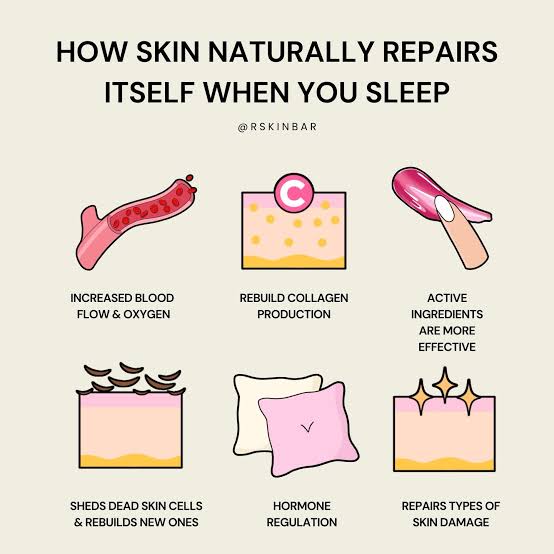 Skin Functioning during sleep