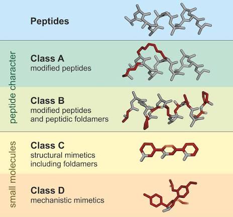Classification of Peptides