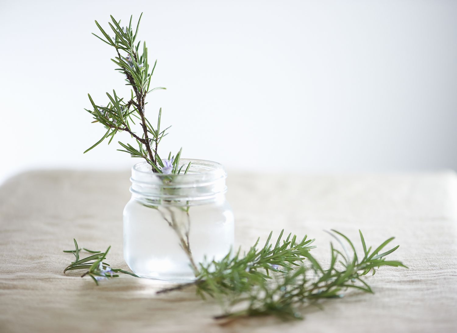 Rosemary for Hair