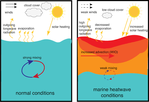 Difference between normal condition and heatwave 