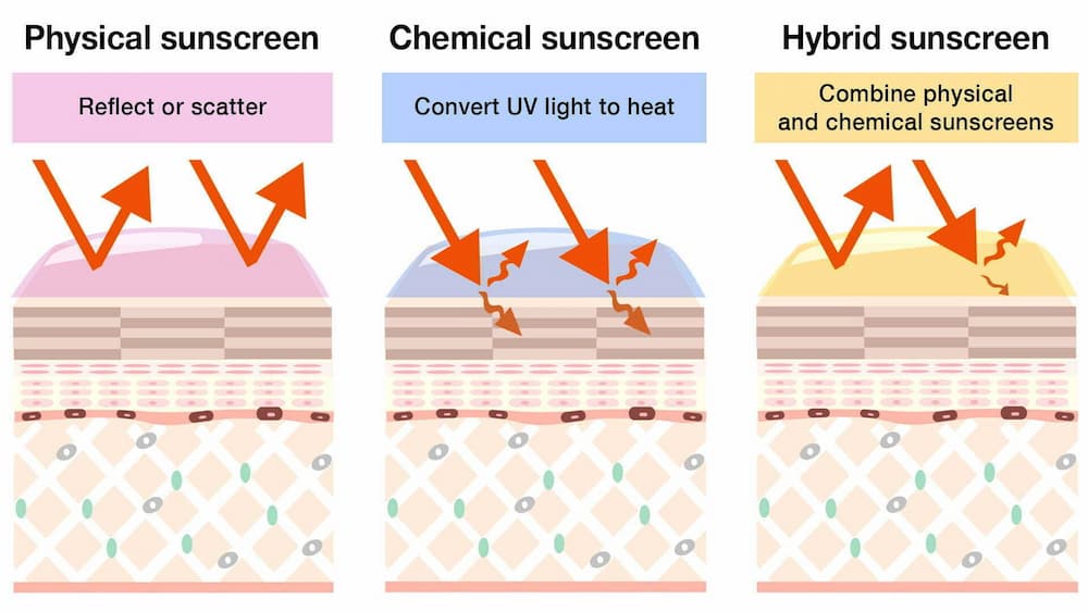 Reaction of difference sunscreen towards sun rays