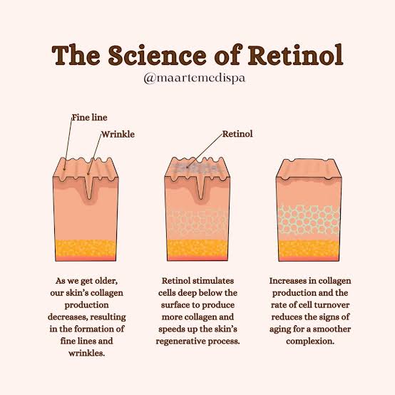 Functioning of Retinol as Active Ingredient 