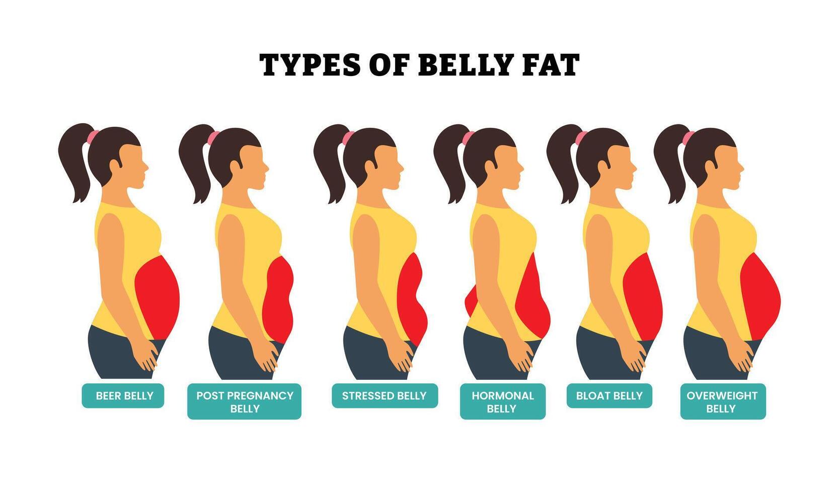 Types of Belly Fat in Women