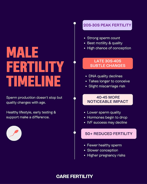 Male Fertility Timeline