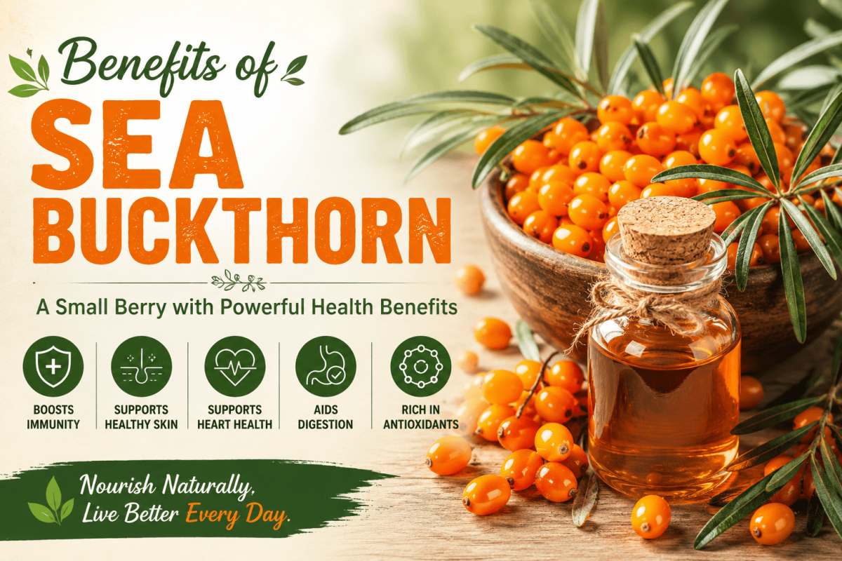 This is an image for topic Benefits of Sea Buckthorn: A Nutrient-Rich Superfruit for Better Health